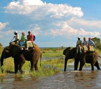 Elephant Back Safari